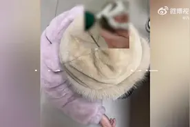 女子被老鼠咬手后反咬了老鼠头？其室友：她觉得自己被老鼠挑衅了，已就医打针图片