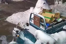 女子在店门前堆雪人，被路过的男子一脚踹碎，当事人：花了四个小时堆的，很气愤图片