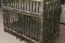 【这份爱万金不换！#宝宝还没出生就收到爷爷编的婴儿床#】图片