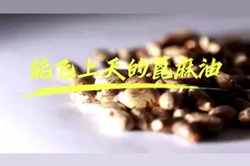 青春华章丨能飞上天的蓖麻油图片