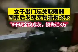 女子出门忘关取暖器，猫被烧死，8000元现金烧成灰图片
