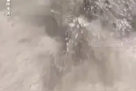 悲剧！7岁男孩在石灰粉堆玩耍中毒身亡图片