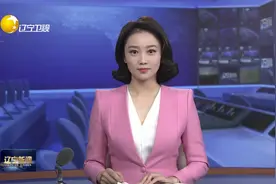 辽宁省政府召开4个万亿级产业基地和22个重点产业集群工作调度推进会议图片