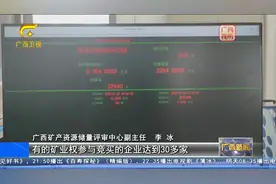 广西：矿产资源改革激发市场活力 社会资本投入持续增长图片