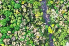 茅台构筑绿色发展底色——从紫红泥讲起图片