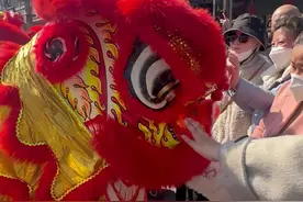 微视频 | 萌化了！广州南国醒狮成“团宠”图片