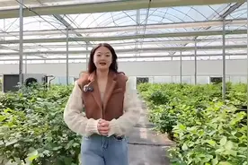 青岛胶州市胶东街道：打卡农业示范园 品尝优质好蓝莓图片