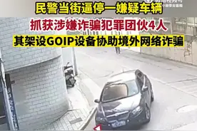 【逼停！摁倒！#民警当街拦截抓捕一诈骗团伙#】图片