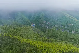 2023年航拍“我的美丽家乡”丨常州溧阳南山竹海：竹林青翠 云雾氤氲图片