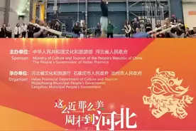 中国吴桥国际杂技艺术节｜亮点抢先看！加拿大《弹床抖杠》图片