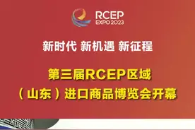 第三届RCEP区域（山东）进口商品博览会开幕图片