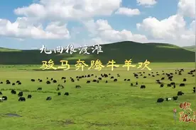 瞰陇原｜岷县：九曲狼渡滩 骏马奔腾牛羊欢图片