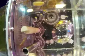 出现定向行为异常现象！“太空养鱼”最新进展→图片