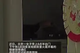 惊险！主人不在家猫咪打开燃气灶，燃烧6小时后才发现图片