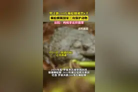男子抓200斤癞蛤蟆被罚8千，癞蛤蟆属国家三有保护动物，法院：构成非法狩猎罪图片