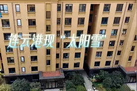 连云港，刚刚下雪了！图片
