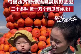 视频 | 乌鲁木齐新增休闲娱乐好去处，南瓜王国有三十多种近十万个南瓜等你来！图片