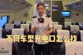 转发收藏！东北话教你不同车型充电口咋找图片