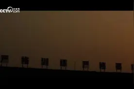 微视频｜守护图片