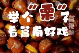 举个“栗” 子 看莒南好戏#村村有好戏#我爱莒南图片