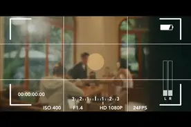 【视频】“私家侦探”的代价图片