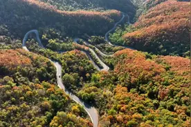 美丽辽宁｜灯塔最美公路图片