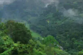 总要去趟云南吧｜西双版纳不思归图片