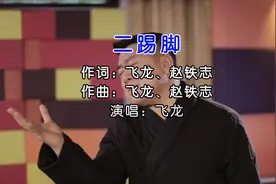 飞龙 - 二踢脚（KTV版）图片