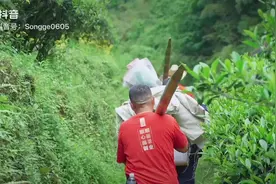 顺丽须尽欢：人生得意顺尽欢，莫使金樽空对月图片
