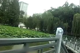 【背影满是担当！#民警飞身跳湖1秒救起轻生女子#】图片