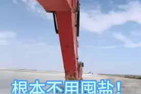 挖盐了视频来了，茶卡盐湖的盐可再生，够全国吃70年！图片