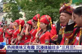 热闹美味又有趣 沉浸体验壮乡“三月三”图片