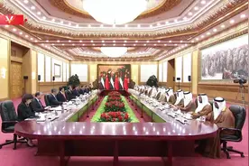 独家视频丨习近平同阿联酋总统会谈：中阿关系树立了新时期中国和阿拉伯国家关系的典范图片