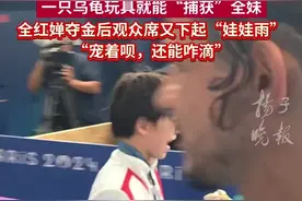 奥运会现场下起“娃娃雨”，观众宠爱式给全红婵空投玩偶图片