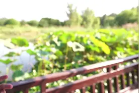 房山商务局喊你来打卡 | 解锁家门口的诗和远方 玩转房山人气集聚区图片