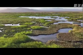 《解码西部大开发》第七集：一道浇灌民族团结进步之花图片