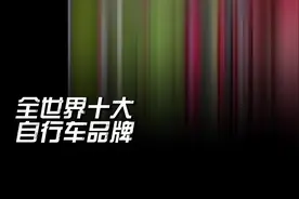 解读全世界十大口碑最好自行车品牌排名第一名福伦王土拨鼠天梯图图片