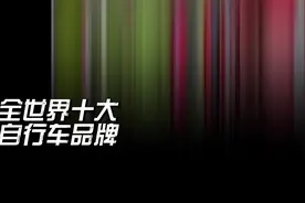 解读全世界十大口碑最好自行车品牌排名第一名福伦王土拨鼠天梯图图片