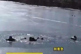 儿童贪玩掉进冰窟，大人救娃心切也被困图片