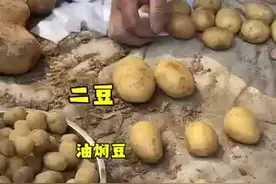 买土豆你花冤枉钱没？| 东北老妹儿带你吃图片