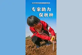廊坊：专家助力保秋种图片