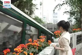 坐天星小轮竟然能解乡愁，土耳其驻港总领事话你知……图片