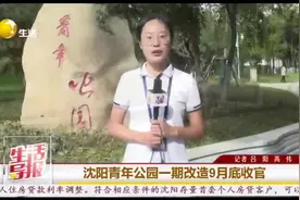 沈阳青年公园一期改造9月底收官图片