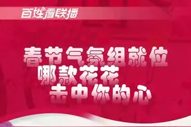 百姓看联播丨春节气氛组就位 哪款花花击中你的心图片