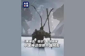 外国网友开始打听一只中国猴子图片