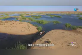 绿染中国|荒漠中生出绿色奇迹图片