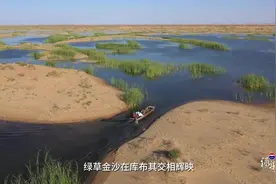 绿染中国|荒漠中生出绿色奇迹图片