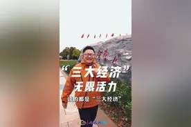 见V知著 • “三大经济”无限活力图片