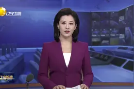 2024辽宁产投融合发展大会在沈阳举行图片