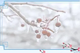 吃对身体暖！小寒节气可适当吃这些食物图片